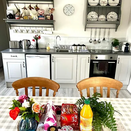300 Year Old Newly Renovated Cottage, Fast Wifi & Bbq * Gortatlea