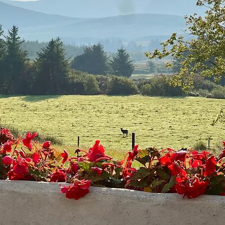 Ferienhaus Beautiful Newly Renovated Gortatlea