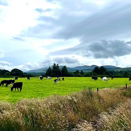 בית נופש Beautiful Newly Renovated Gortatlea