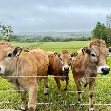 Beautiful Newly Renovated