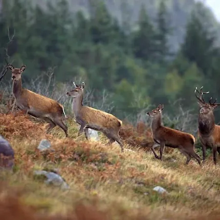 בית נופש Beautiful Newly Renovated *